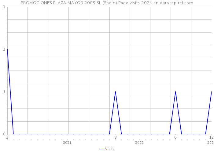PROMOCIONES PLAZA MAYOR 2005 SL (Spain) Page visits 2024 