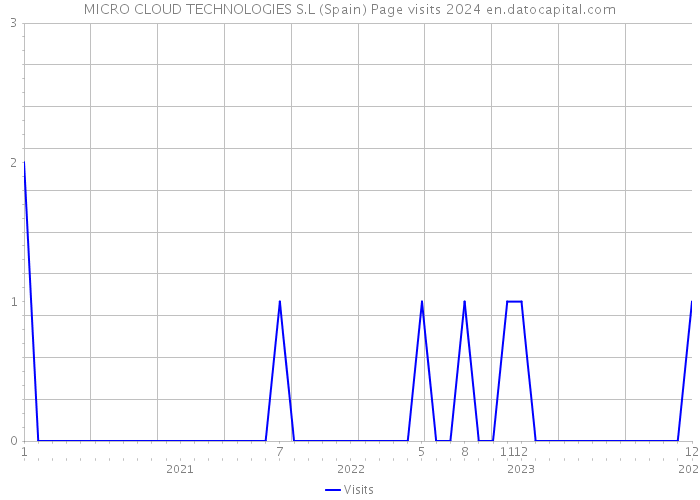 MICRO CLOUD TECHNOLOGIES S.L (Spain) Page visits 2024 