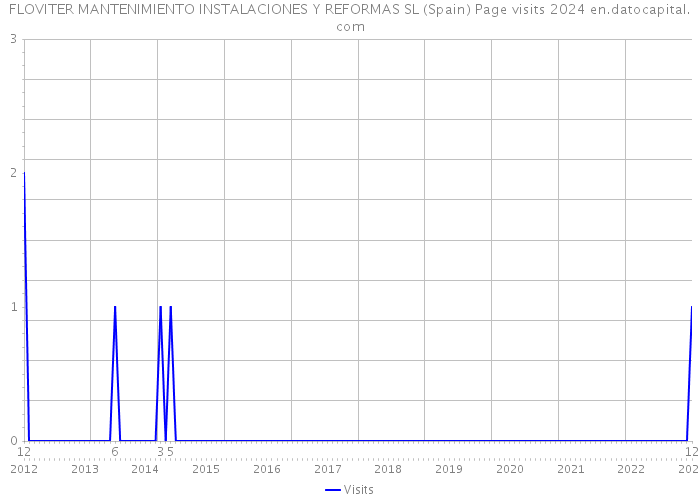 FLOVITER MANTENIMIENTO INSTALACIONES Y REFORMAS SL (Spain) Page visits 2024 