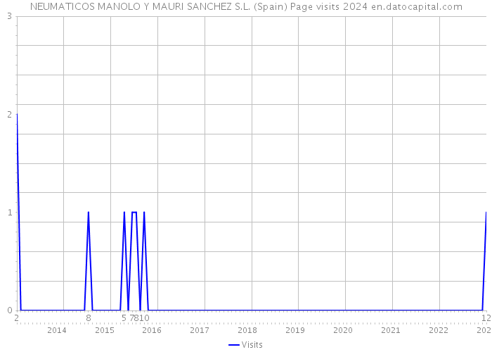 NEUMATICOS MANOLO Y MAURI SANCHEZ S.L. (Spain) Page visits 2024 