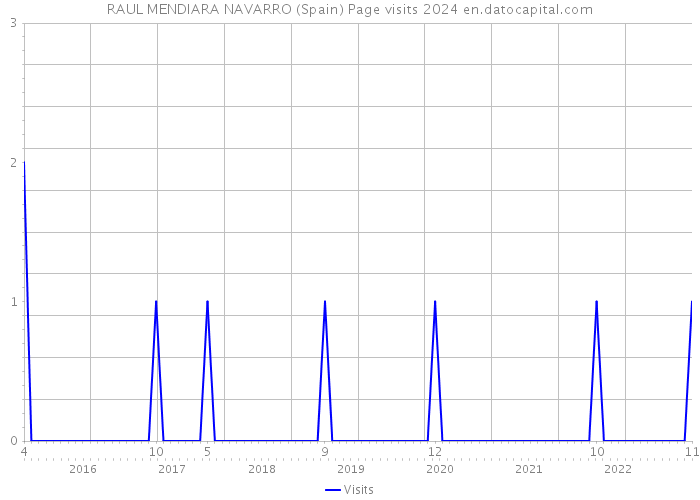 RAUL MENDIARA NAVARRO (Spain) Page visits 2024 