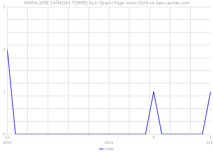 MARIA JOSE CAÑADAS TORRECILLA (Spain) Page visits 2024 