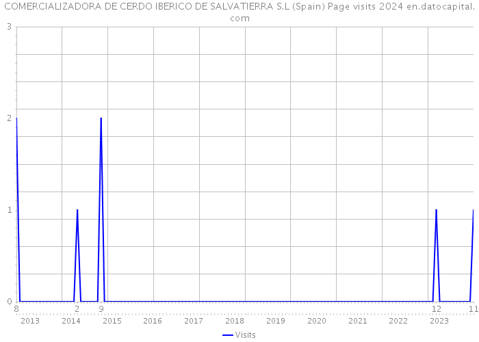 COMERCIALIZADORA DE CERDO IBERICO DE SALVATIERRA S.L (Spain) Page visits 2024 