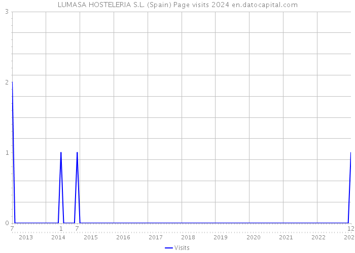 LUMASA HOSTELERIA S.L. (Spain) Page visits 2024 