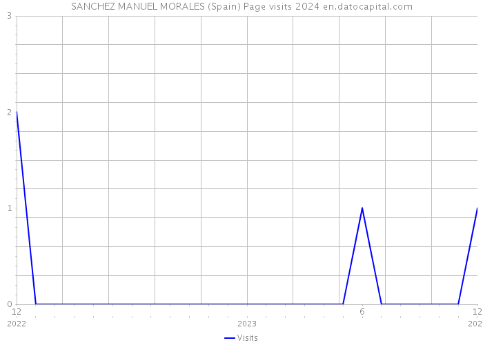 SANCHEZ MANUEL MORALES (Spain) Page visits 2024 