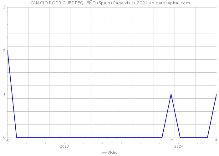 IGNACIO RODRIGUEZ PEQUEÑO (Spain) Page visits 2024 