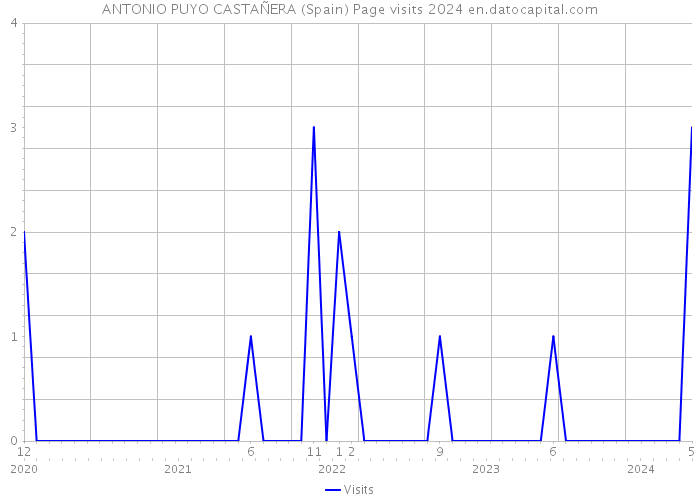 ANTONIO PUYO CASTAÑERA (Spain) Page visits 2024 