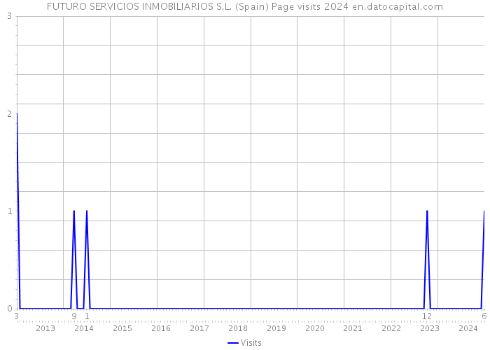 FUTURO SERVICIOS INMOBILIARIOS S.L. (Spain) Page visits 2024 