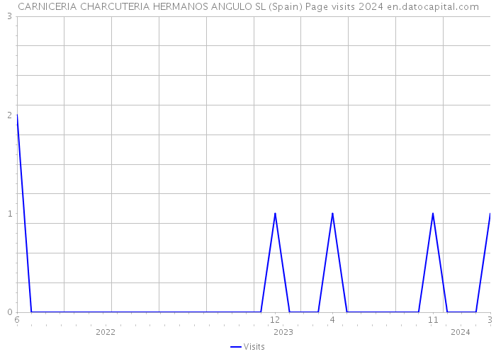 CARNICERIA CHARCUTERIA HERMANOS ANGULO SL (Spain) Page visits 2024 