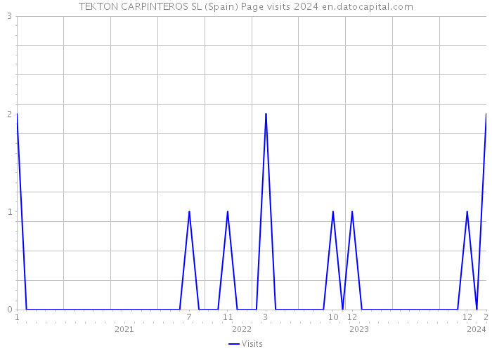 TEKTON CARPINTEROS SL (Spain) Page visits 2024 