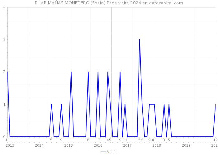 PILAR MAÑAS MONEDERO (Spain) Page visits 2024 