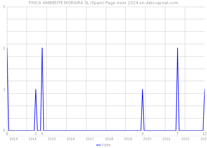FINCA AMBIENTE MORAIRA SL (Spain) Page visits 2024 