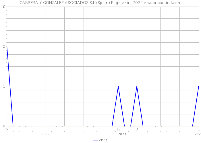 CARRERA Y GONZALEZ ASOCIADOS S.L (Spain) Page visits 2024 