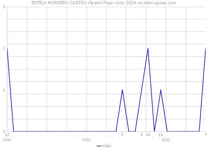 ESTELA MONTERO CASTRO (Spain) Page visits 2024 