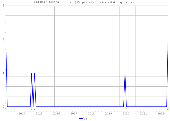 KAMRAN MIRZAEE (Spain) Page visits 2024 