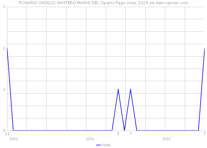 ROSARIO VADILLO SANTERO MARIA DEL (Spain) Page visits 2024 