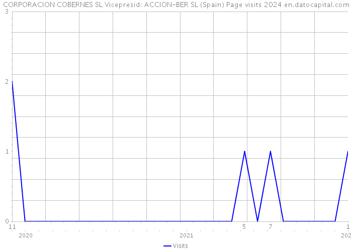 CORPORACION COBERNES SL Vicepresid: ACCION-BER SL (Spain) Page visits 2024 