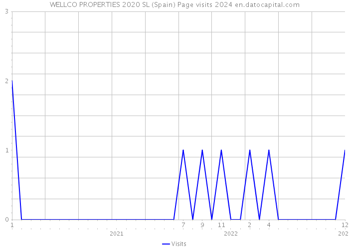 WELLCO PROPERTIES 2020 SL (Spain) Page visits 2024 