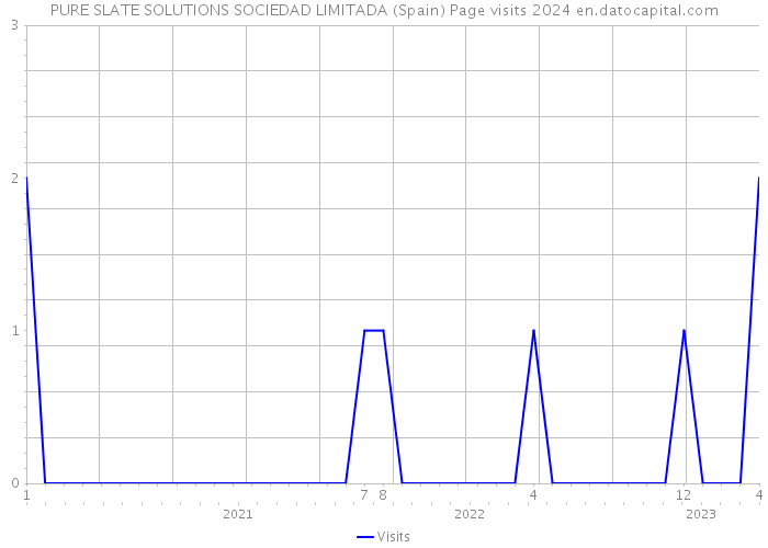 PURE SLATE SOLUTIONS SOCIEDAD LIMITADA (Spain) Page visits 2024 