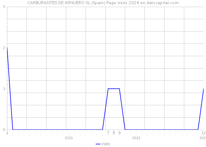 CARBURANTES DE ARNUERO SL (Spain) Page visits 2024 