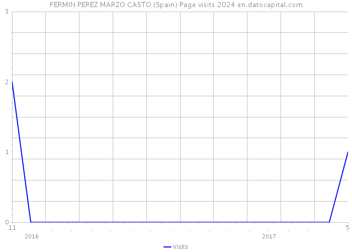 FERMIN PEREZ MARZO CASTO (Spain) Page visits 2024 