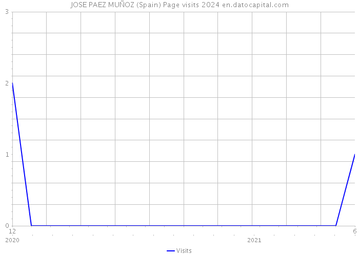 JOSE PAEZ MUÑOZ (Spain) Page visits 2024 