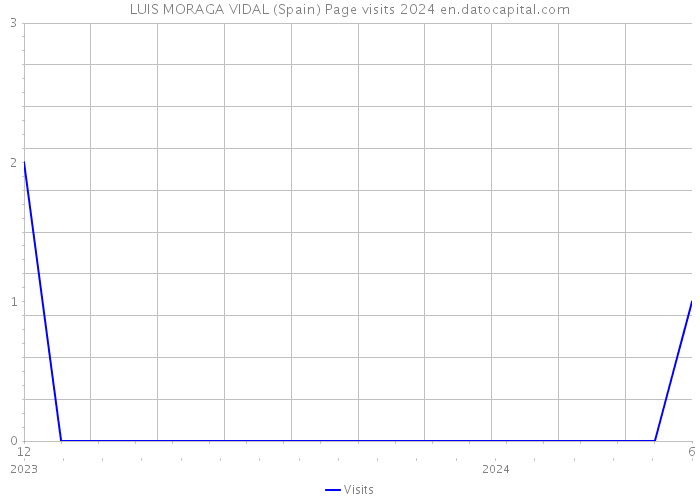 LUIS MORAGA VIDAL (Spain) Page visits 2024 