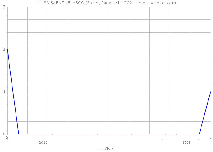 LUISA SAENZ VELASCO (Spain) Page visits 2024 