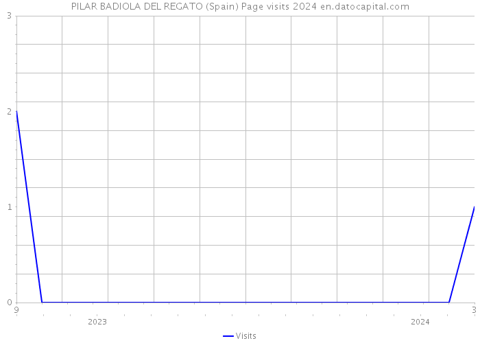 PILAR BADIOLA DEL REGATO (Spain) Page visits 2024 