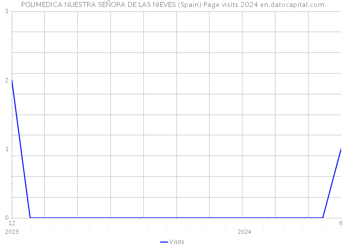 POLIMEDICA NUESTRA SEÑORA DE LAS NIEVES (Spain) Page visits 2024 