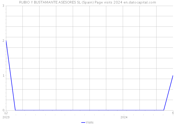 RUBIO Y BUSTAMANTE ASESORES SL (Spain) Page visits 2024 