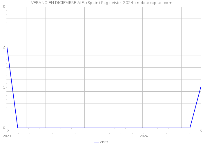 VERANO EN DICIEMBRE AIE. (Spain) Page visits 2024 