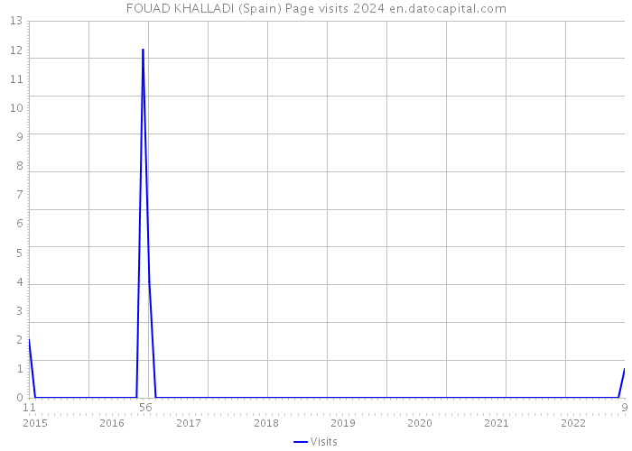 FOUAD KHALLADI (Spain) Page visits 2024 