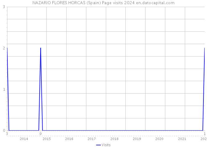 NAZARIO FLORES HORCAS (Spain) Page visits 2024 