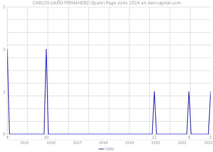 CARLOS LIAÑO FERNANDEZ (Spain) Page visits 2024 