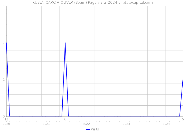 RUBEN GARCIA OLIVER (Spain) Page visits 2024 