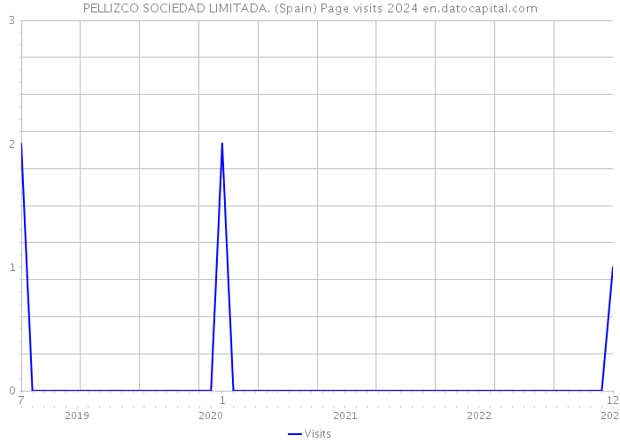 PELLIZCO SOCIEDAD LIMITADA. (Spain) Page visits 2024 