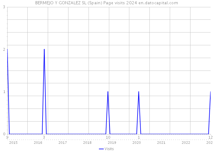 BERMEJO Y GONZALEZ SL (Spain) Page visits 2024 