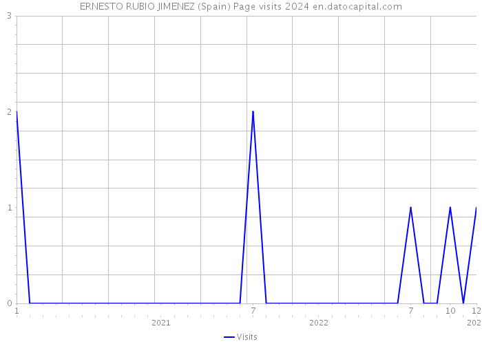 ERNESTO RUBIO JIMENEZ (Spain) Page visits 2024 