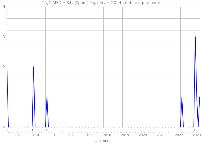 TAJO MEDIA S.L. (Spain) Page visits 2024 