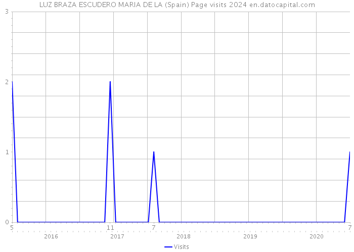 LUZ BRAZA ESCUDERO MARIA DE LA (Spain) Page visits 2024 