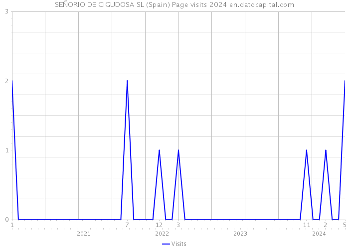 SEÑORIO DE CIGUDOSA SL (Spain) Page visits 2024 