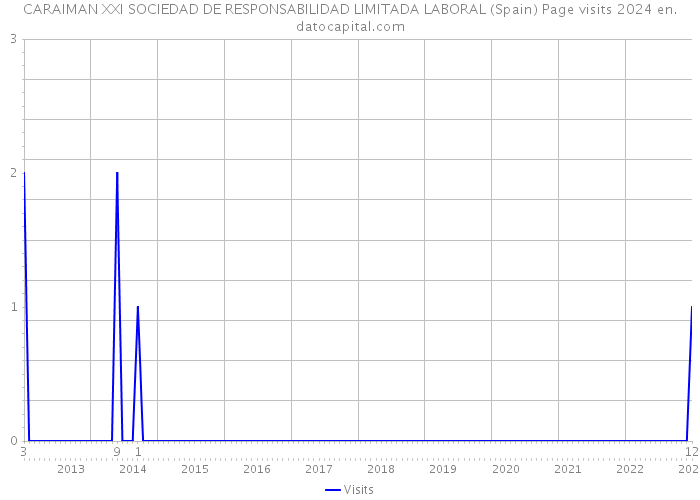 CARAIMAN XXI SOCIEDAD DE RESPONSABILIDAD LIMITADA LABORAL (Spain) Page visits 2024 