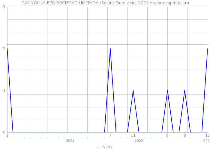 CAR VOLUM BPO SOCIEDAD LIMITADA (Spain) Page visits 2024 