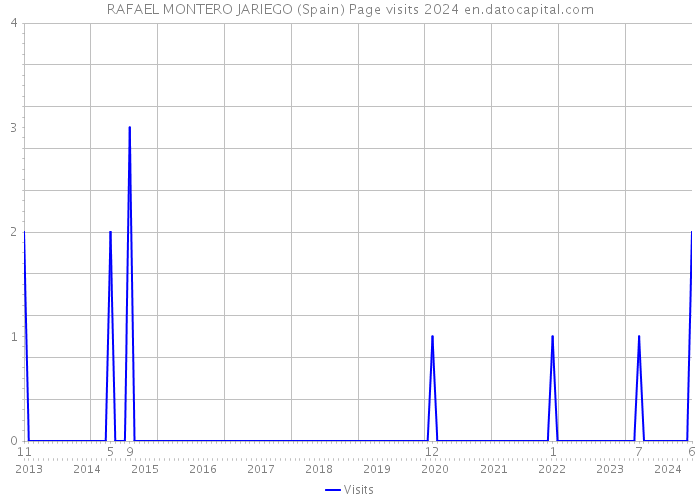 RAFAEL MONTERO JARIEGO (Spain) Page visits 2024 