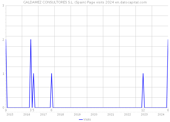 GALDAMEZ CONSULTORES S.L. (Spain) Page visits 2024 