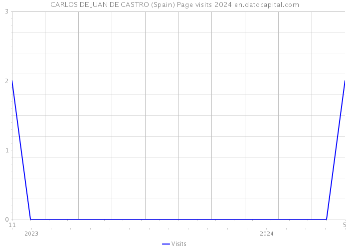 CARLOS DE JUAN DE CASTRO (Spain) Page visits 2024 
