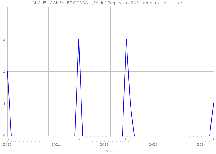 MIGUEL GONZALEZ CORRAL (Spain) Page visits 2024 