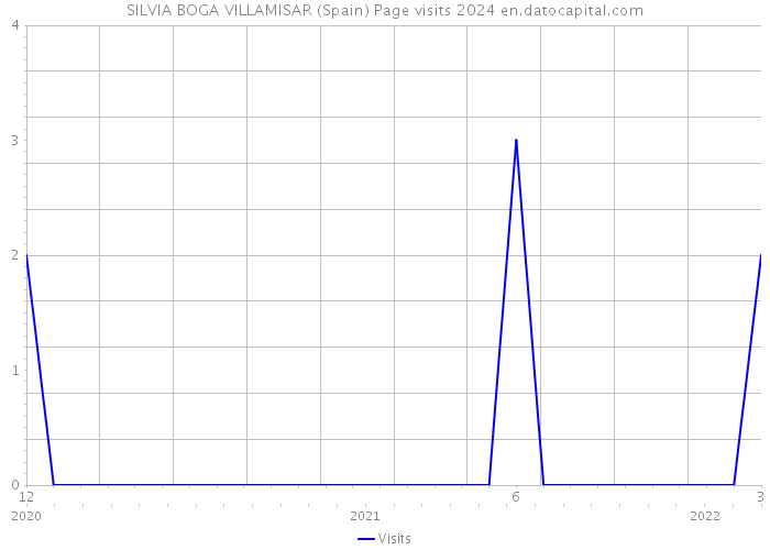 SILVIA BOGA VILLAMISAR (Spain) Page visits 2024 