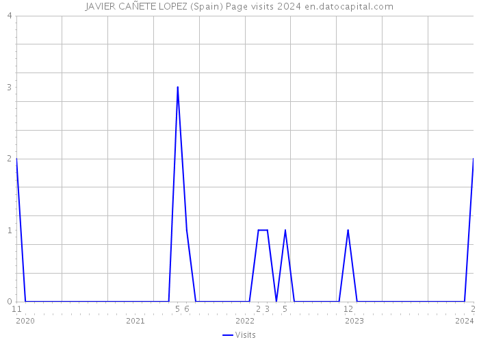 JAVIER CAÑETE LOPEZ (Spain) Page visits 2024 